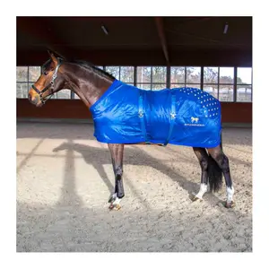 08500100-akupressurmatte-fur-pferde-accuhorsemat-original-blau