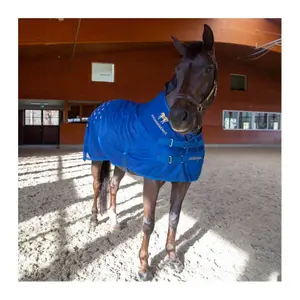 08500200-akupressurmatte-fur-pferde-accuhorsemat-blau