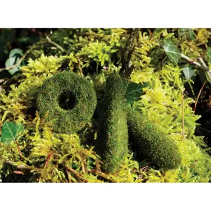 Lead Carp Spirit Rivière Camo Weed Lead 100g image-0