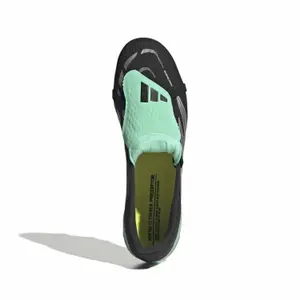 Sapatos de futebol adidas Predator Pro FG image-1