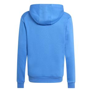 Hoodie mit Kinderlogo adidas Terrex image-1