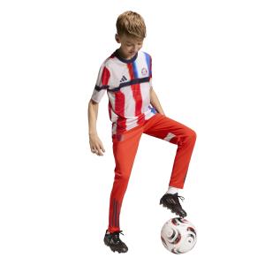 Bayern München Prematch Trikot Kinder 2025/26 image-4