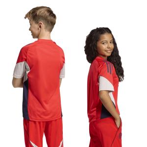 Maillot de entrenamiento para niños Bayern Munich Tiro 25 image-6