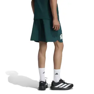 Krátké Mexiko TT Coupe du Monde 2026 image-2
