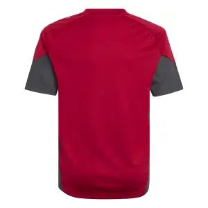 Training shirt kind Liverpool FC 2025/26 image-3