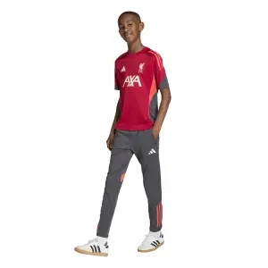 Training shirt kind Liverpool FC 2025/26 image-6