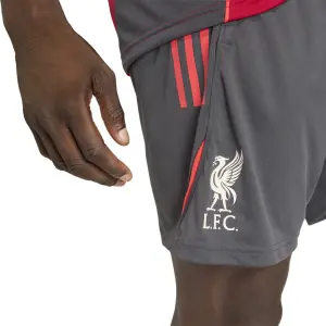 Pantaloni da allenamento Liverpool FC image-5