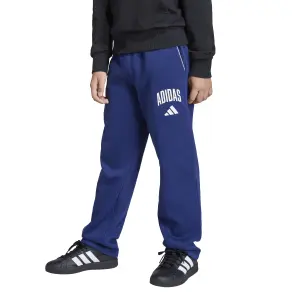 Kids' joggers adidas Collegiate Typography image-1