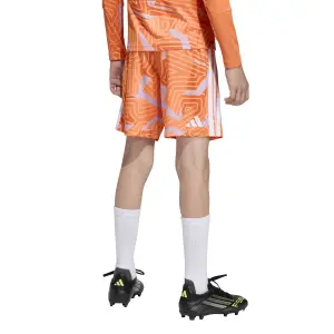 Kinder keepersbroek adidas Competition Tiro 26 image-4