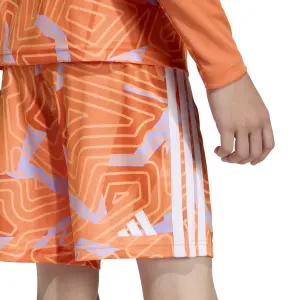 Kinder keepersbroek adidas Competition Tiro 26 image-6