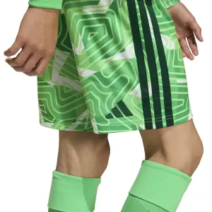 Kinder keepersbroek adidas Competition Tiro 26 image-6