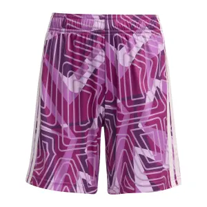 Kinder keepersbroek adidas Competition Tiro 26