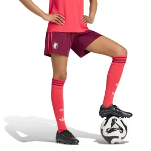 Women's Office Shorts image-0