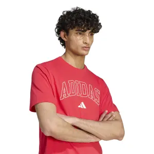 T-shirt adidas Collegiate Lineage Graphic image-4