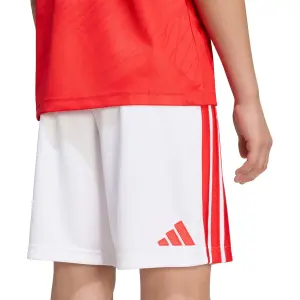 Benfica Lisbon Child's Domicile 2026/27 image-2