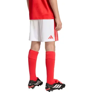 Benfica Lisbon Child's Domicile 2026/27 image-4