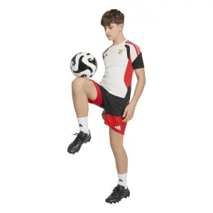 Benfica Lisbon kids' shorts Tiro Competition image-4