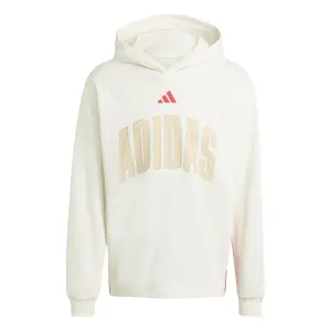 Hoodie adidas Stadium image-0