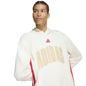 Hoodie adidas Stadium image-5