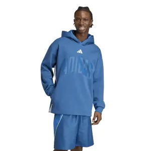 Hooded sweatshirt adidas Stadium Graphic image-1