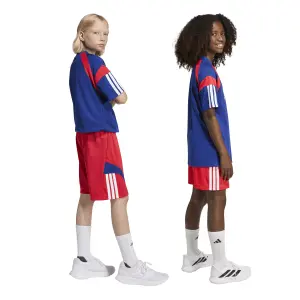 Children's shorts adidas House Of Tiro image-6