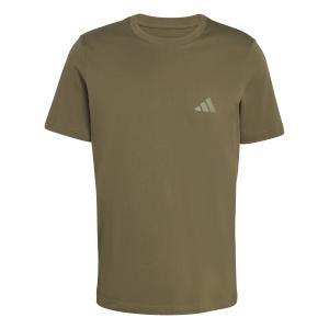 Camiseta adidas Terrex Mountain
