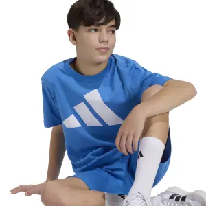 Kinder-T-shirt adidas Essentials Big Logo 3-Stripes image-2