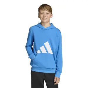 Sweatshirt à capuche french terry doux enfant adidas Essentials image-1