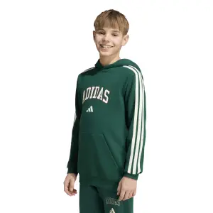 Child hoodie adidas Codes Collegiate Graphic image-1