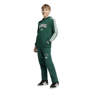 Child hoodie adidas Codes Collegiate Graphic image-3