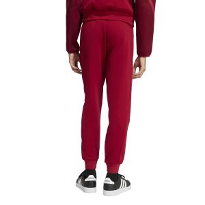 Jogginghose adidas Z.N.E. image-2