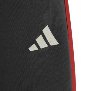 Audi Kinder Shorts Formula One Team DNA image-2