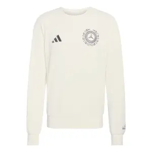 Felpa Mercedes AMG Silver Arrows Icon