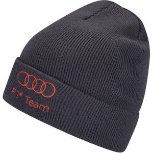 Audi bonnet Formula One Team