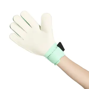 Gants de gardien adidas Predator image-2