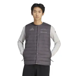 Audi Weste Formula One Team image-1