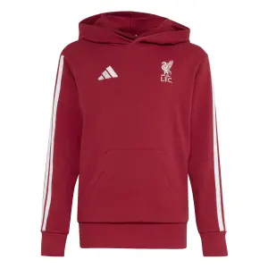 Liverpool FC hoodie för barn