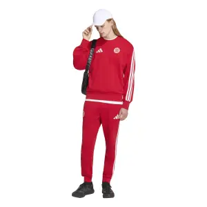 Bayern München Sweatshirt DNA image-2
