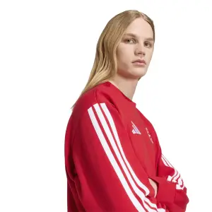 Bayern München Sweatshirt DNA image-5