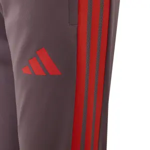 Παντελόνι φόρμας παιδικό Bayern Munich Cup 2026/27 image-3