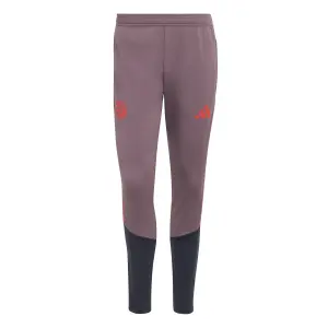 Bayern Munich tracksuit bottoms Cup 2026/27 image-0