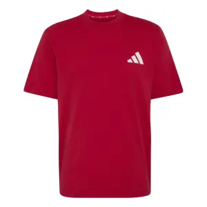 Camiseta do Manchester United Seasonal image-0