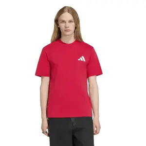 Camiseta do Manchester United Seasonal image-1