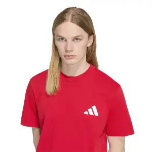 Camiseta do Manchester United Seasonal image-4