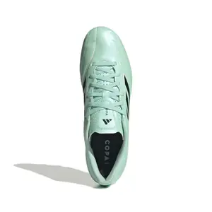 Football Boots adidas Copa Pure Iv Club FG image-1
