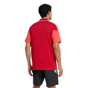 Polo Benfica Lisbonne image-4