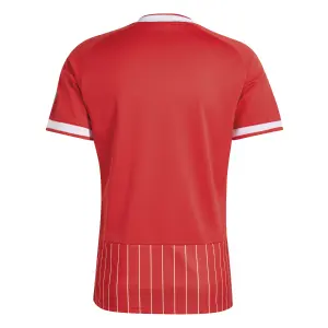 Maillot adidas FC Koeln Trèfle image-4