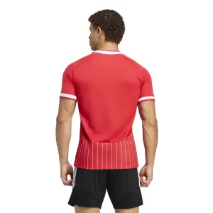 Maillot adidas FC Koeln Trèfle image-5