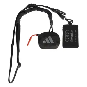 Audi lanyard Formula One Team image-0