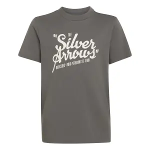 Camiseta infantil Mercedes AMG Petronas Formula One Team Silver Arrows image-0